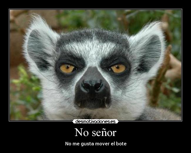 carteles madagascar desmotivaciones