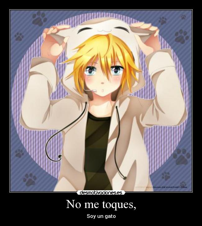 No me toques, - Soy un gato