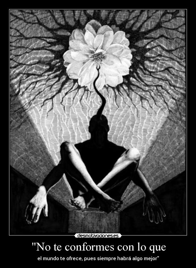 carteles que lata corazon hasta que falle desmotivaciones