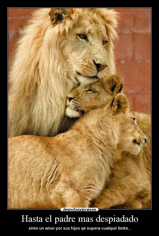 Hasta el padre mas despiadado -