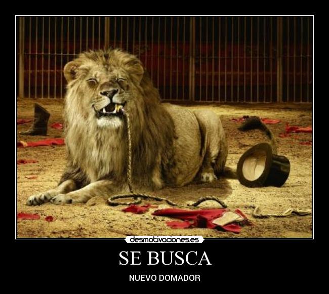 SE BUSCA - NUEVO DOMADOR