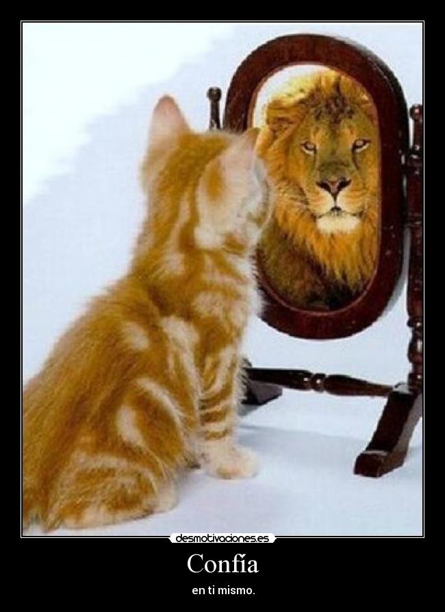 Confía -