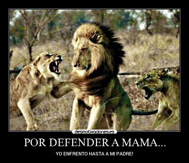 POR DEFENDER A MAMA... -