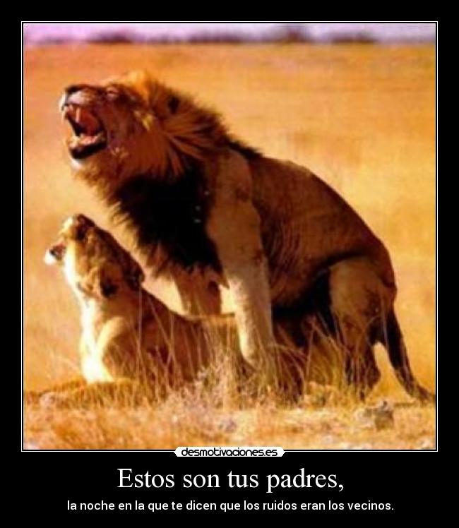 Estos son tus padres, - la noche en la que te dicen que los ruidos eran los vecinos.