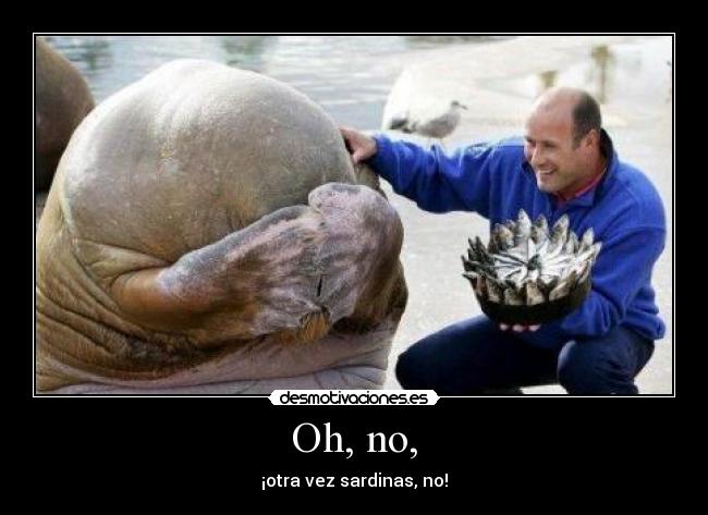 carteles dinner ready friends efejota durandal desmotivaciones