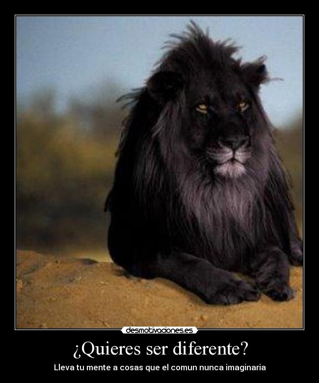 ¿Quieres ser diferente? - Lleva tu mente a cosas que el comun nunca imaginaria