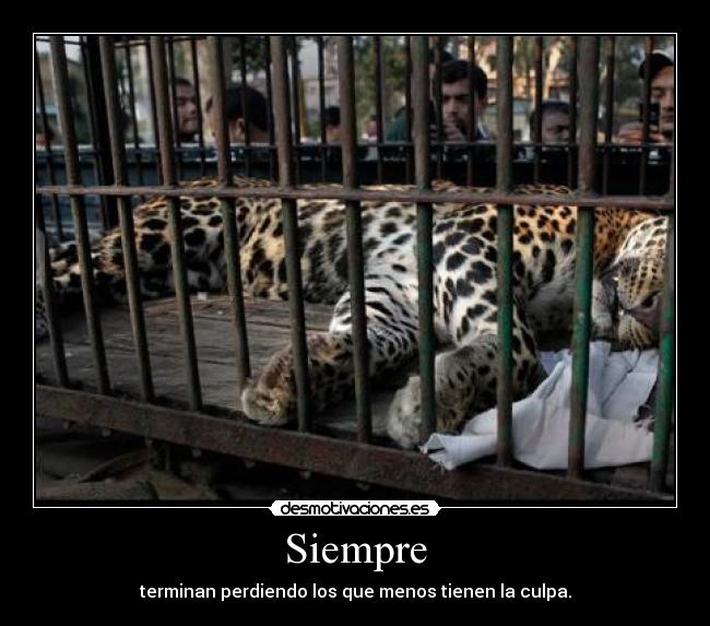 Siempre - terminan perdiendo los que menos tienen la culpa.