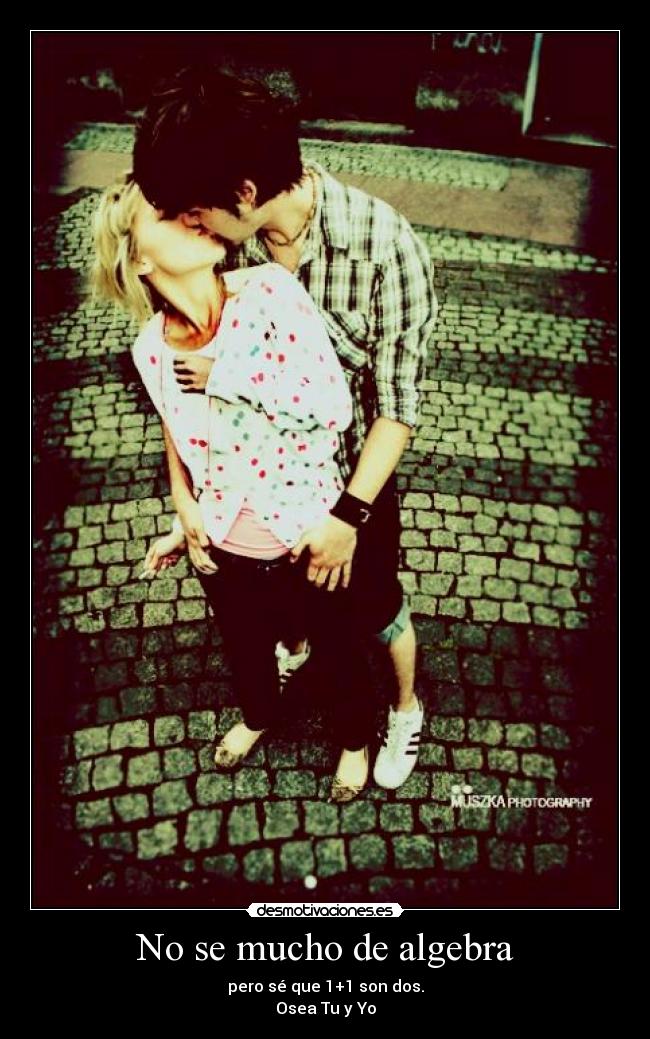 carteles beyonce desmotivaciones