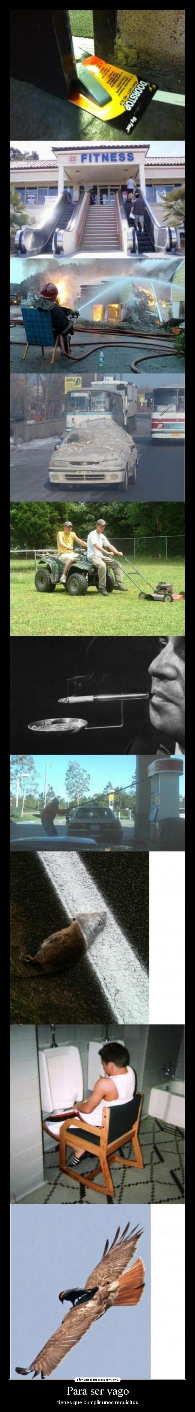 Para ser vago - tienes que cumplir unos requisitos