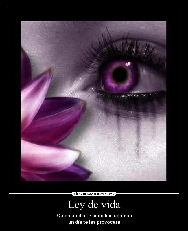 Ley de vida - Quien un día te seco las lagrimas
un día te las provocara