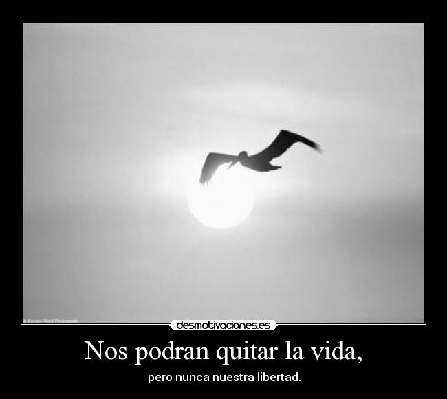 Nos podran quitar la vida, - 