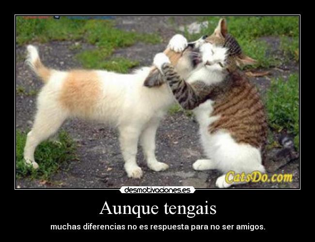 Aunque tengais - muchas diferencias no es respuesta para no ser amigos.
