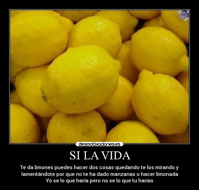 carteles vida vida hay aprovecharla cada instande dedicado evolxlove ana desmotivaciones