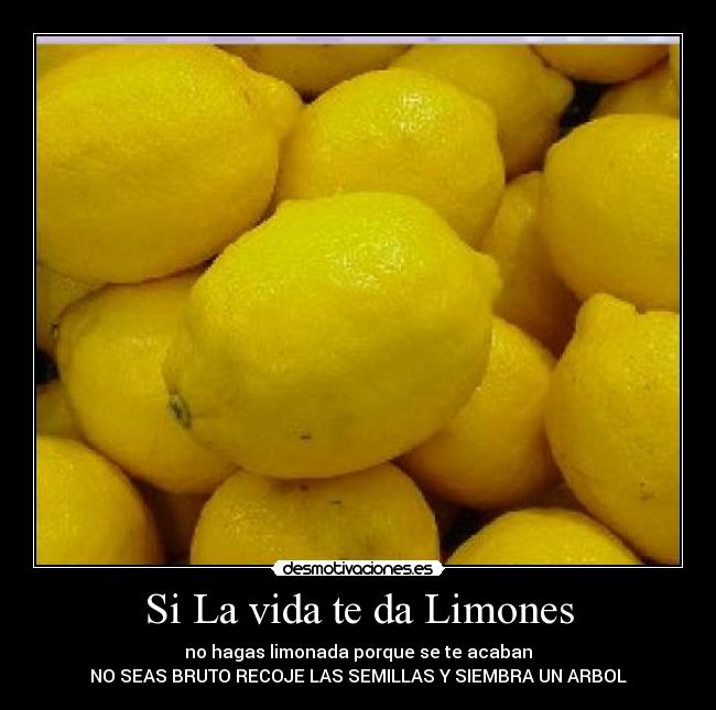 Si La vida te da Limones - 