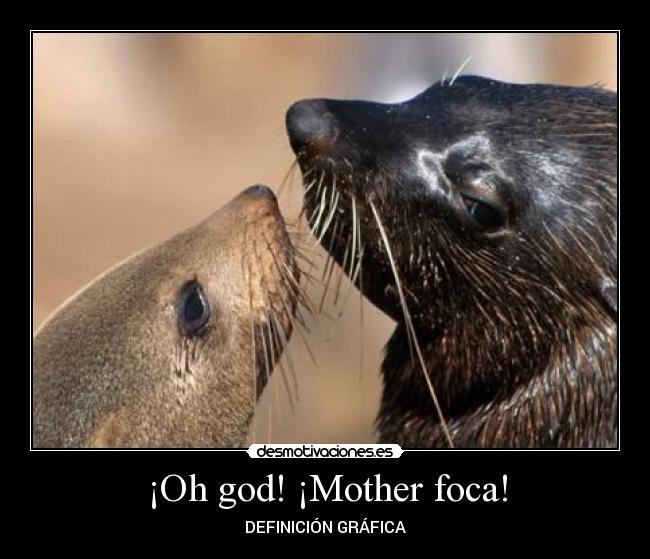 ¡Oh god! ¡Mother foca! - 