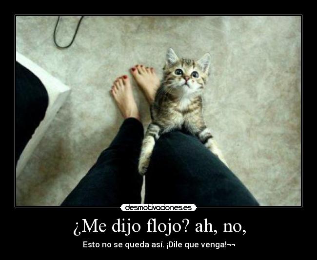 carteles dijo flojo esto queda asi dile que venga desmotivaciones