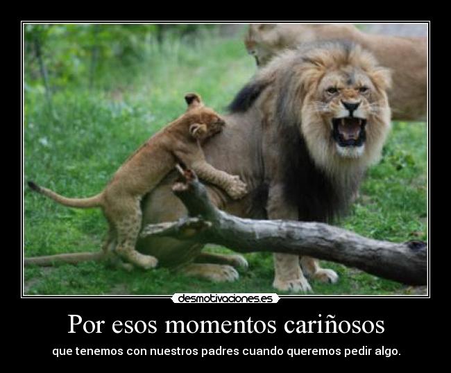 Por esos momentos cariñosos - 