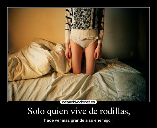 carteles espero que comprendas desmotivaciones