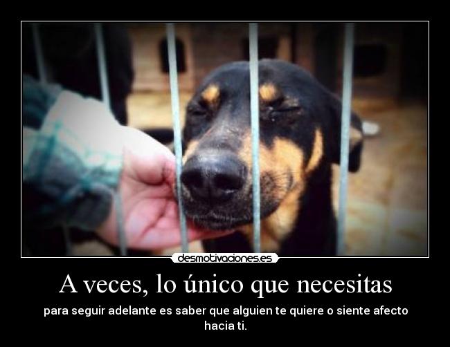 carteles nadie quiere okay desmotivaciones