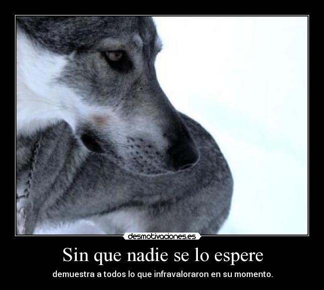 Sin que nadie se lo espere - 