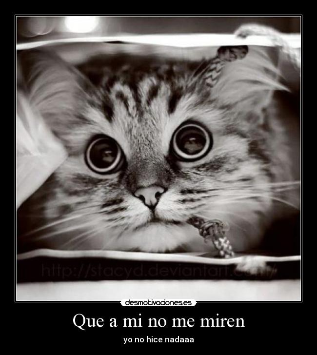 Que a mi no me miren - 