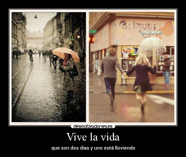 Vive la vida - 