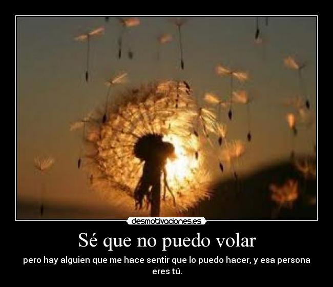 Sé que no puedo volar -