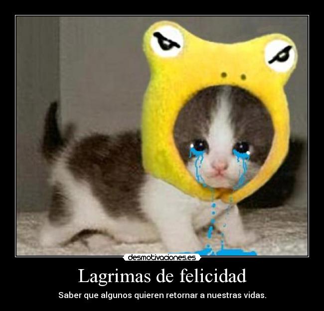 carteles felicidad cuentasborradas algunos merecen regresar ojala puedan desmotivaciones