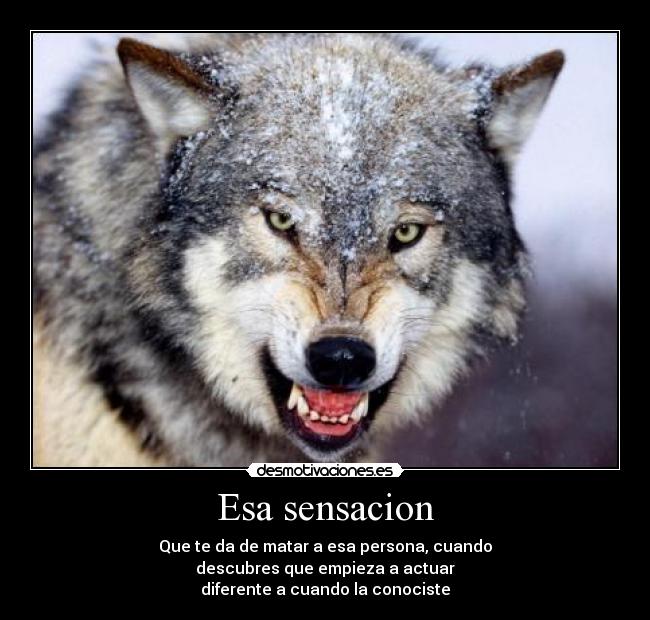 Esa sensacion - Que te da de matar a esa persona, cuando
descubres que empieza a actuar
diferente a cuando la conociste