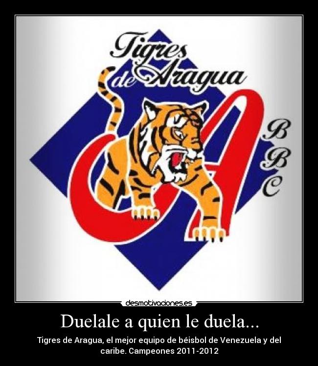 carteles tigres aragua maracay aragua venezuela campeones beisbol desmotivaciones