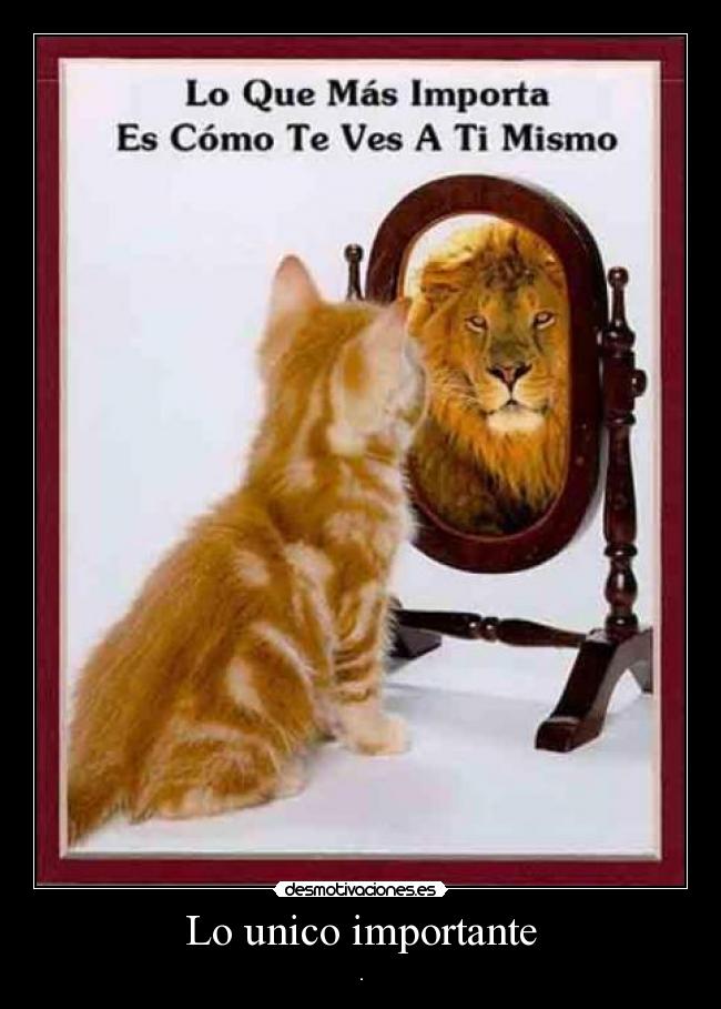 Lo unico importante - .