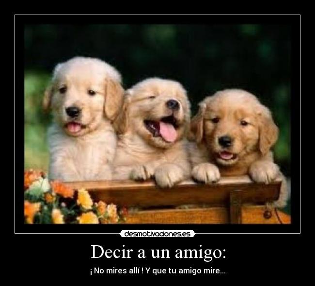 Decir a un amigo: - ¡ No mires allí ! Y que tu amigo mire...