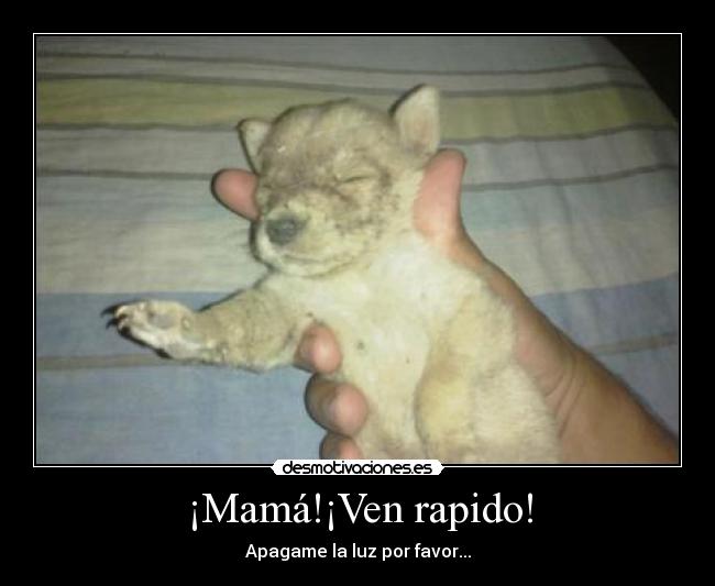 ¡Mamá!¡Ven rapido! - Apagame la luz por favor...