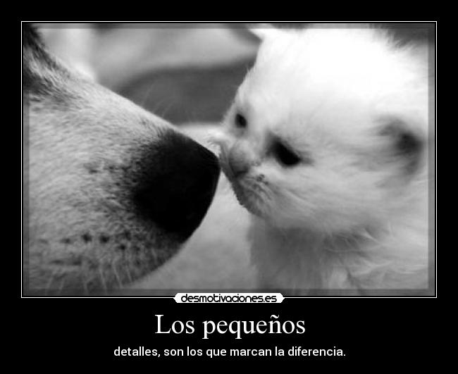 Los pequeños - detalles, son los que marcan la diferencia.
