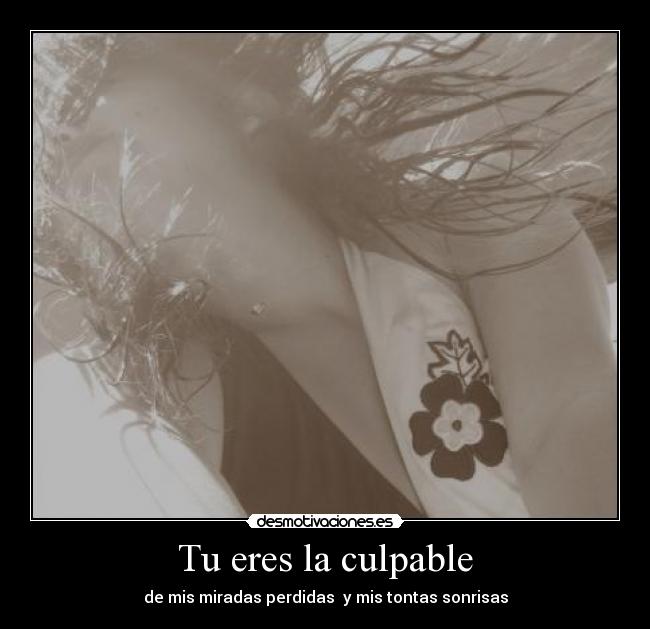 Tu eres la culpable -