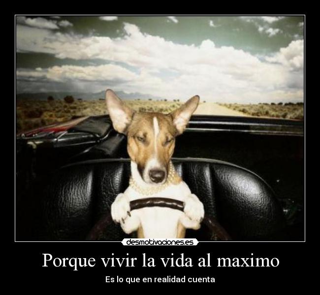 carteles vida porque vivir vida maximo desmotivaciones