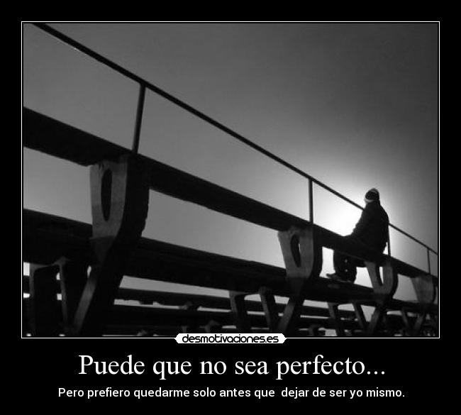 Puede que no sea perfecto... - 