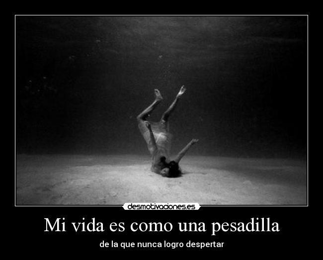 carteles vida pimpampum2 desmotivaciones