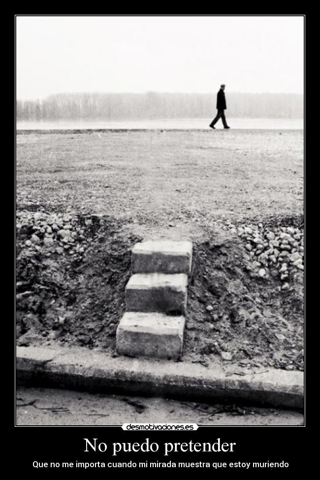 No puedo pretender - 