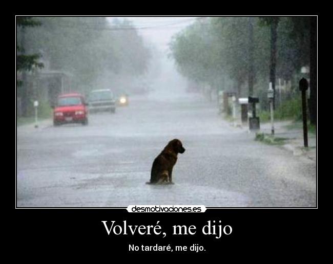 Volveré, me dijo -