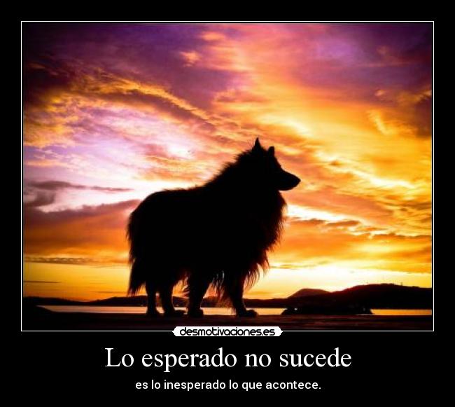 Lo esperado no sucede - es lo inesperado lo que acontece.