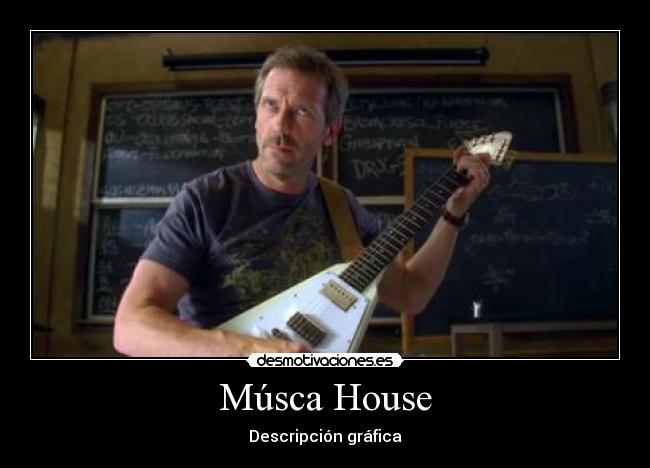 Músca House - Descripción gráfica