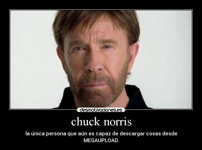 chuck norris -