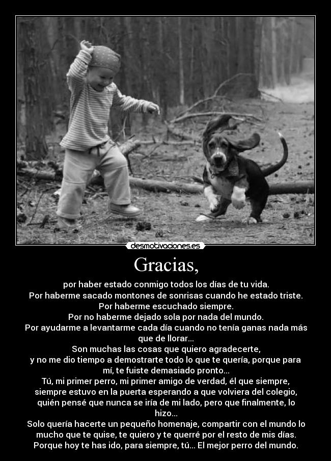 Gracias, - por haber estado conmigo todos los días de tu vida.
Por haberme sacado montones de sonrisas cuando he estado triste.
Por haberme escuchado siempre.
Por no haberme dejado sola por nada del mundo.
Por ayudarme a levantarme cada día cuando no tenía ganas nada más
que de llorar...
Son muchas las cosas que quiero agradecerte,
y no me dio tiempo a demostrarte todo lo que te quería, porque para
mí, te fuiste demasiado pronto...
Tú, mi primer perro, mi primer amigo de verdad, él que siempre,
siempre estuvo en la puerta esperando a que volviera del colegio,
quién pensé que nunca se iría de mi lado, pero que finalmente, lo
hizo...
Solo quería hacerte un pequeño homenaje, compartir con el mundo lo
mucho que te quise, te quiero y te querré por el resto de mis días.
Porque hoy te has ido, para siempre, tú... El mejor perro del mundo.