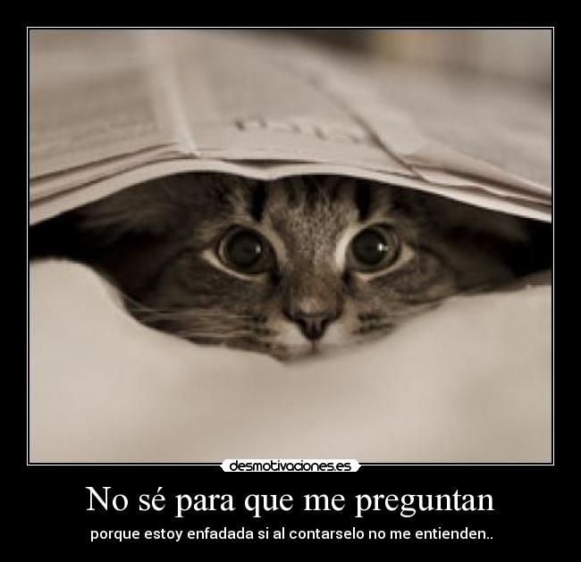 No sé para que me preguntan - 