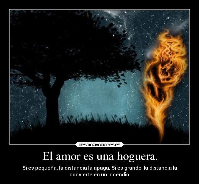 carteles amor amor desmotivaciones