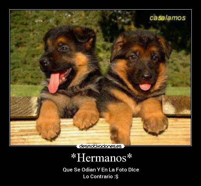 *Hermanos* - Que Se Odian Y En La Foto DIce
Lo Contrario :$
