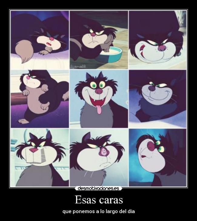 carteles caras raras lucifer gatoscenicienta o0tury0o desmotivaciones