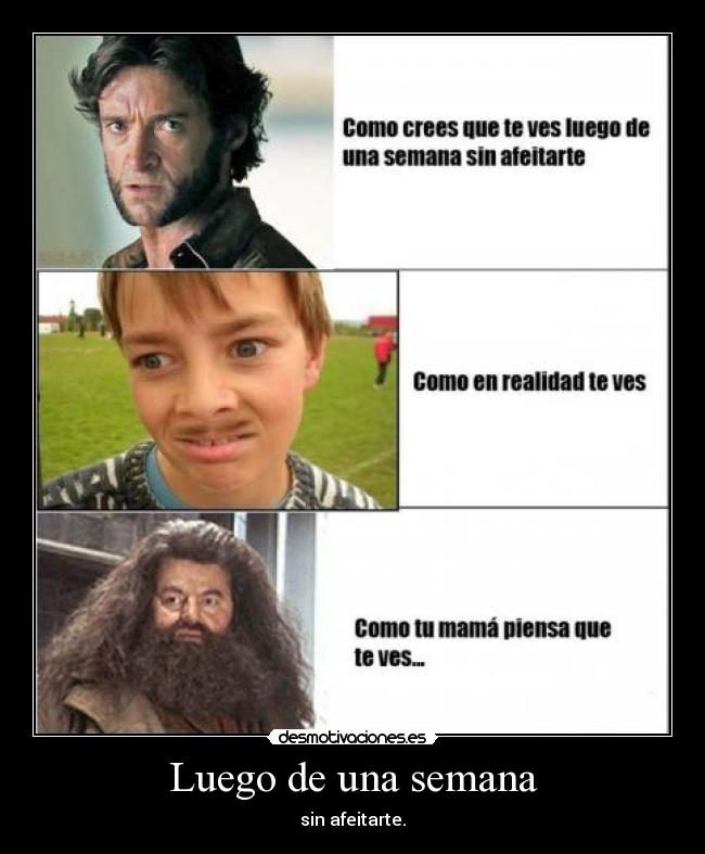 Luego de una semana -