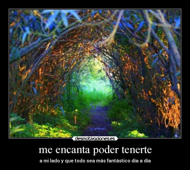 carteles ailobiu desmotivaciones